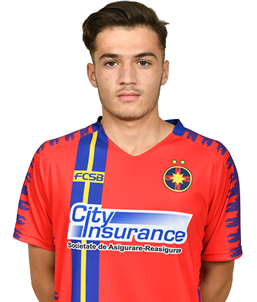 Gabriel Fulga